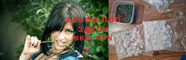 СК Алексин