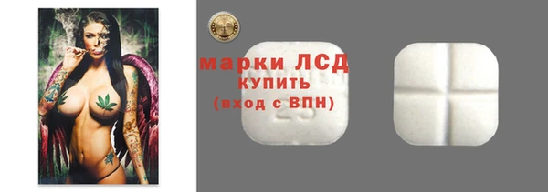 СК Алексин