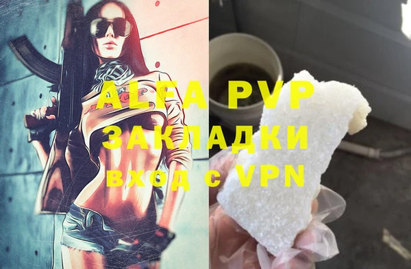 СК Алексин