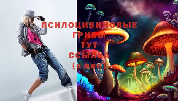 a pvp Алзамай