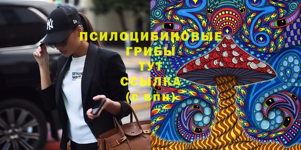СК Алексин