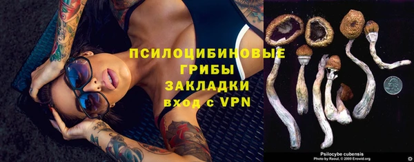 a pvp Алзамай