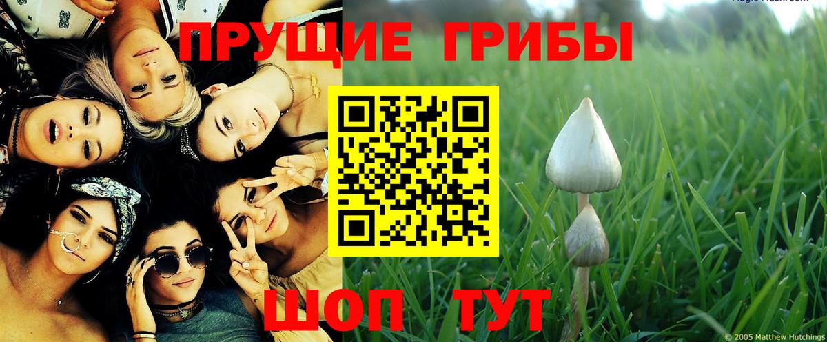 Псилоцибиновые грибы Magic Shrooms  Вход с VPN  Урай 